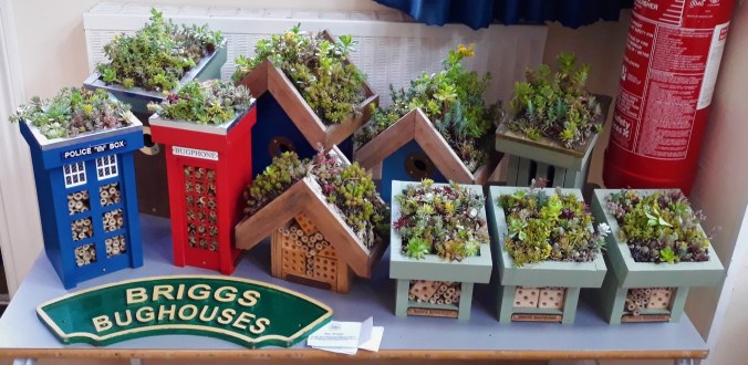 20180605_203914_resized